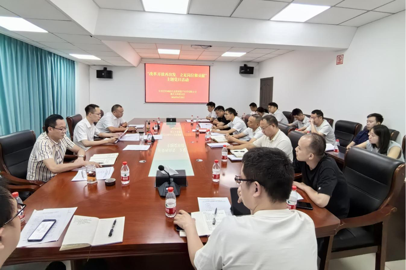 巴中兩山公司開展“改革開放再出發(fā)、立足崗位做貢獻(xiàn)”主題黨日活動